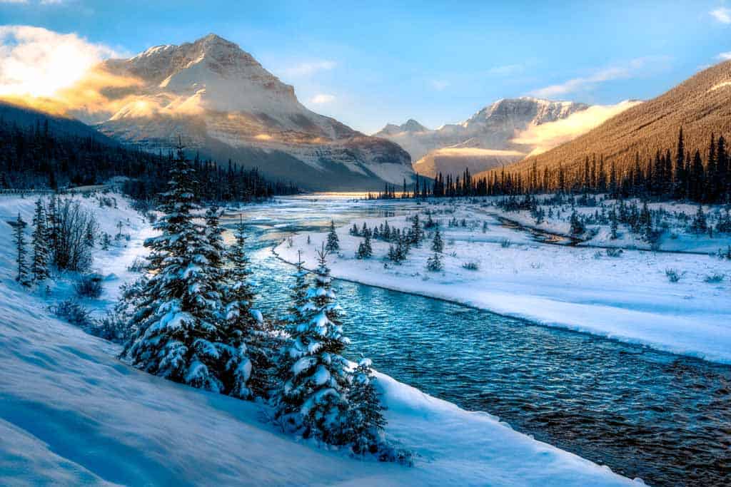 Icefields Parkway View