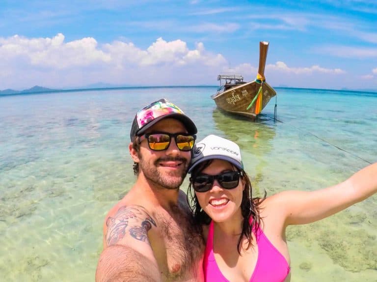 Are There Polar Bears In Antarctica Are There Polar Bears In Antarctica