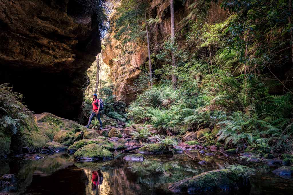 Hiker In Blue Mountains