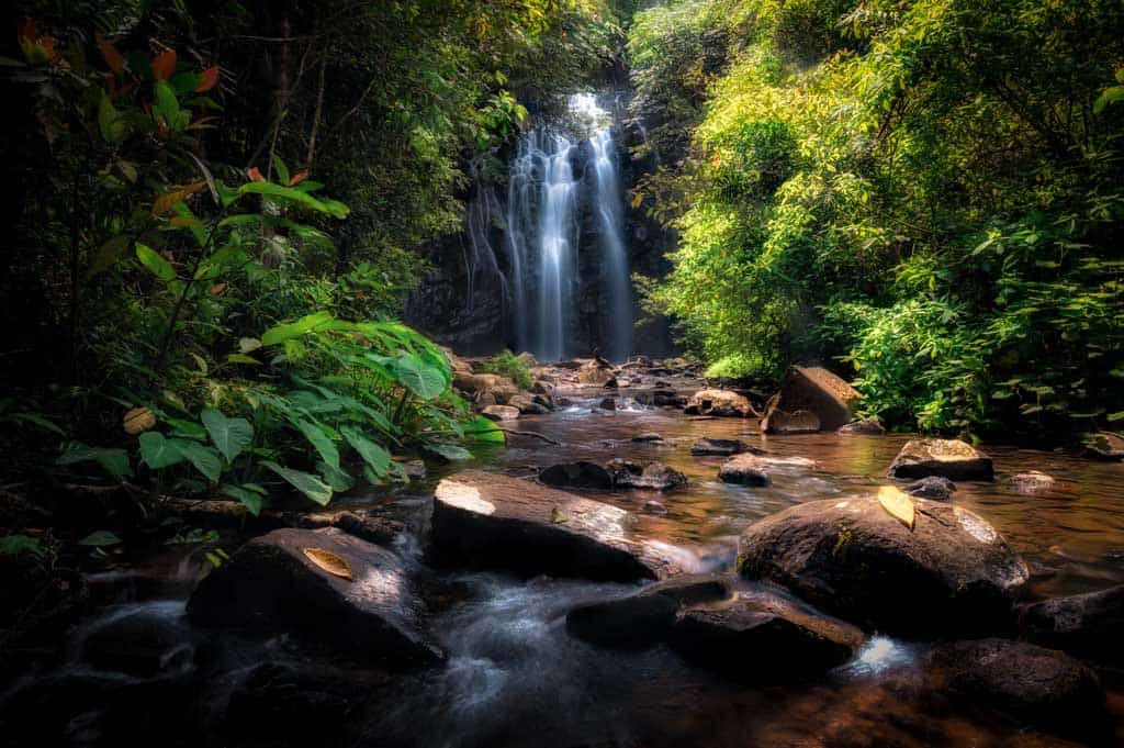 Atherton Tablelands Waterfalls Cairns Tours