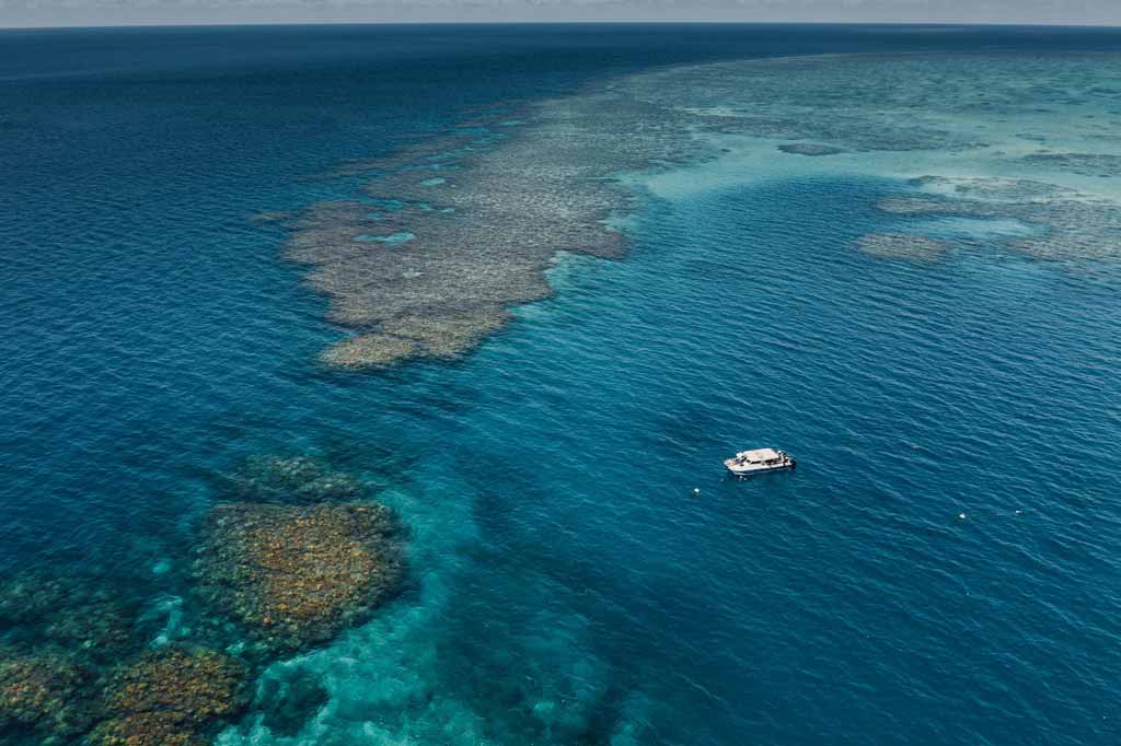 Great Barrier Reef Things To Do In Townsville