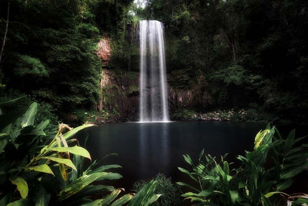 Waterfall Millaa Millaa Falls