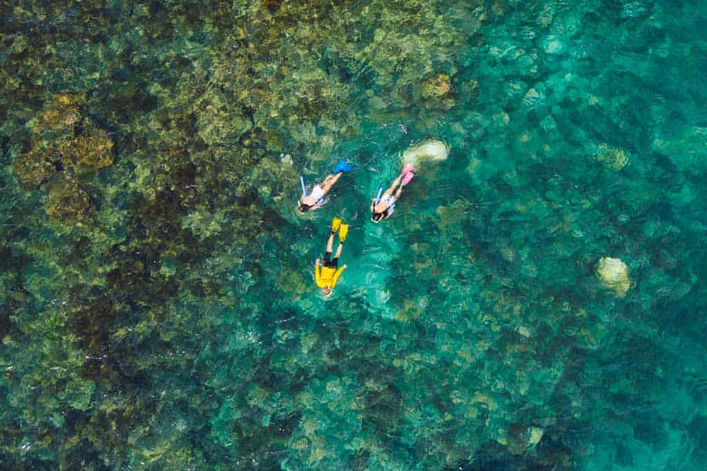 Snorkelling At Florence Bay