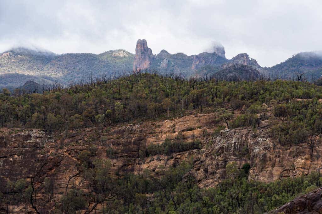 View Over Warrumbungle