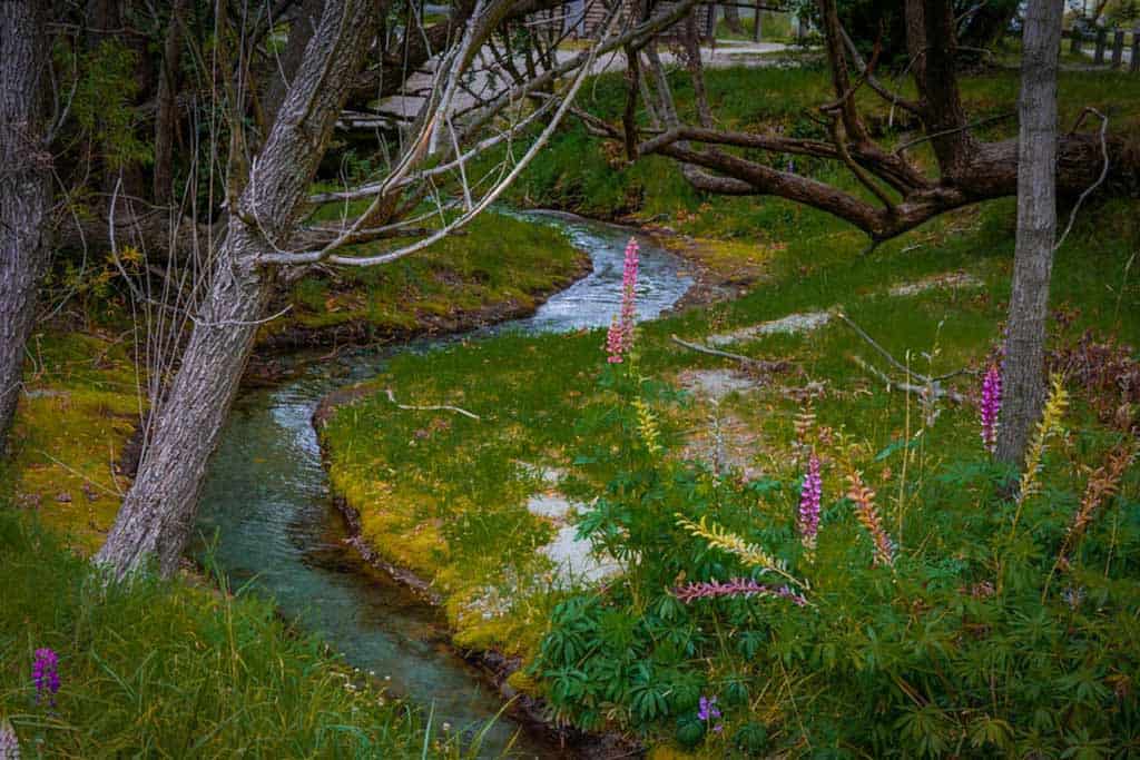 Sawpit Gully Track Queenstown