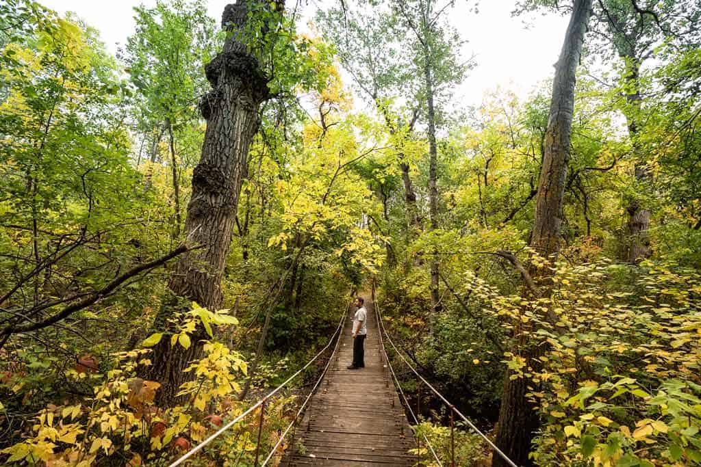 Hiking On Bridge Manitoba Road Trip