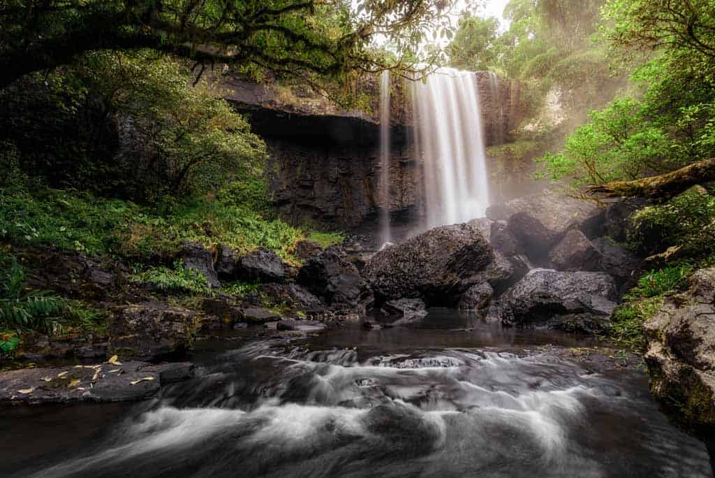 Elinjaa Falls Carbon Fibre Tripod