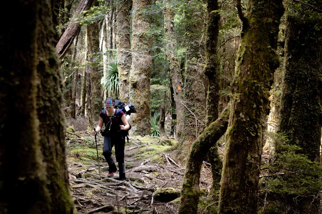 Aolesha Hiking With Hiking Poles