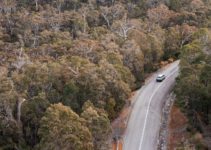 The 6 BEST NSW Road Trips – Epic Drive Itineraries [2022]