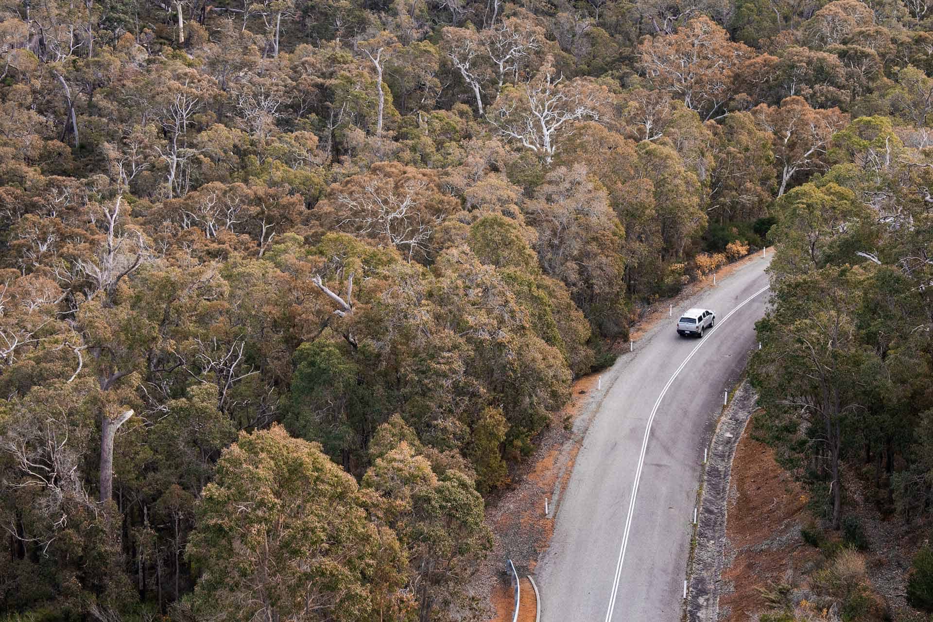Nsw Road Trips