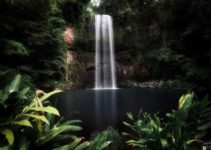 Atherton Tablelands Waterfalls – The 10 BEST Cascades to See