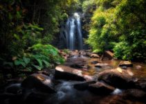 Brisbane to Cairns Drive – The Perfect Road Trip Itinerary