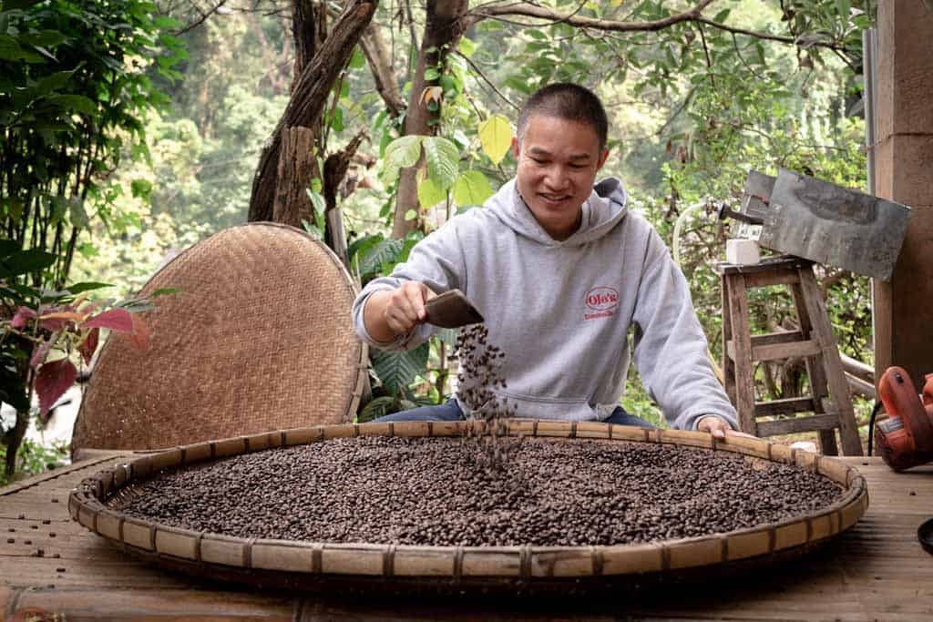 Coffee Roaster Chiang Mai Thailand