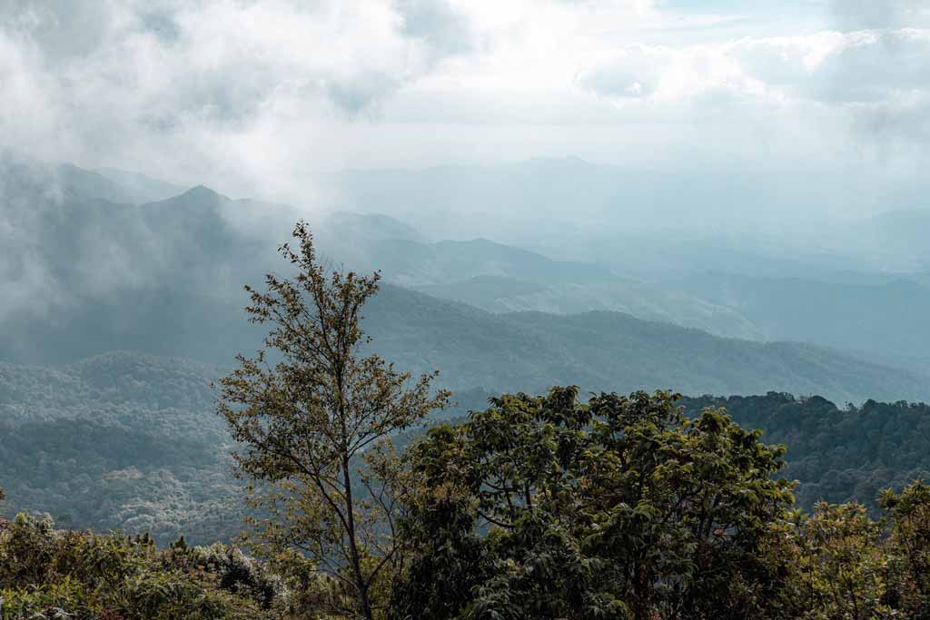 Kew Mae Pan Nature Trail