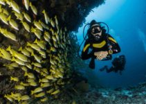 The 15 BEST Dive Watches – Ultimate Buyers Guide [2022]