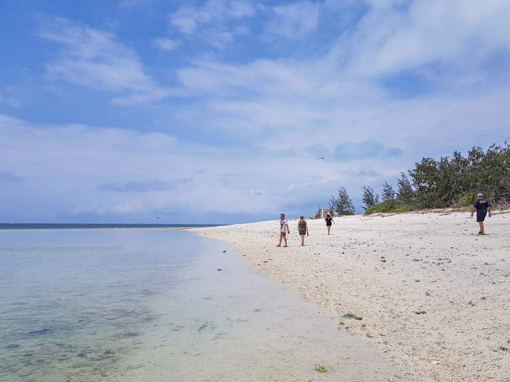 Lady Musgrave Island