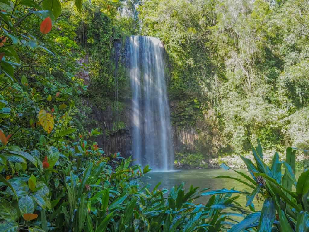 Millaa Millaa Falls