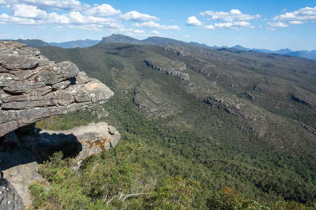 Reed Lookout