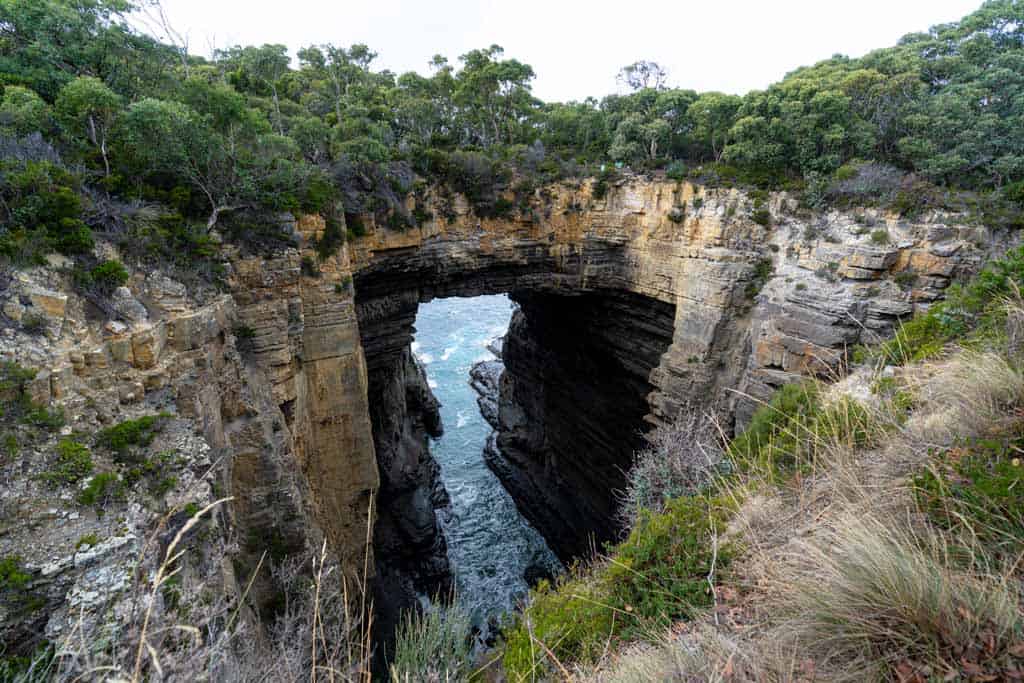 Tasman Arch