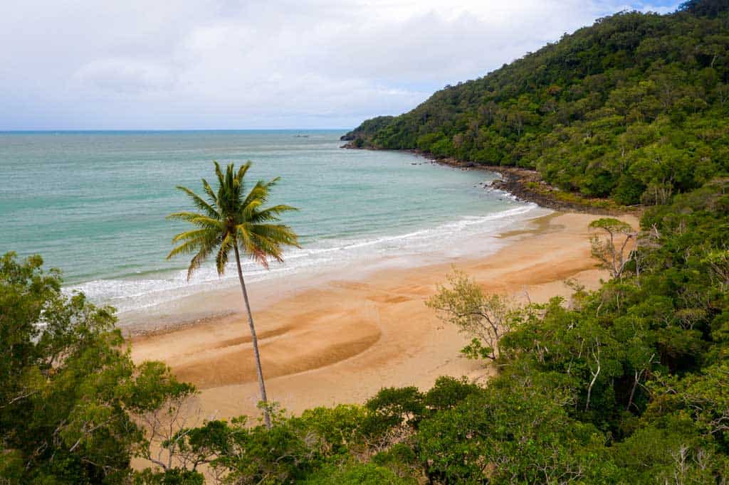 Cape Tribulation Daintree Rainforest