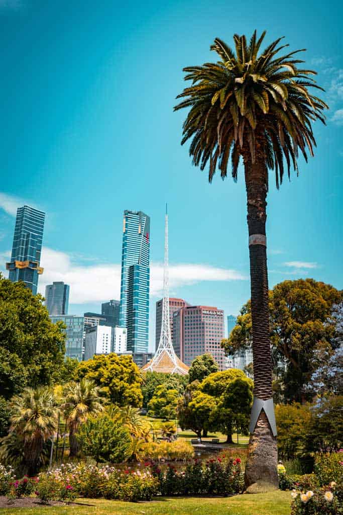 Melbourne Skyscape And Trees