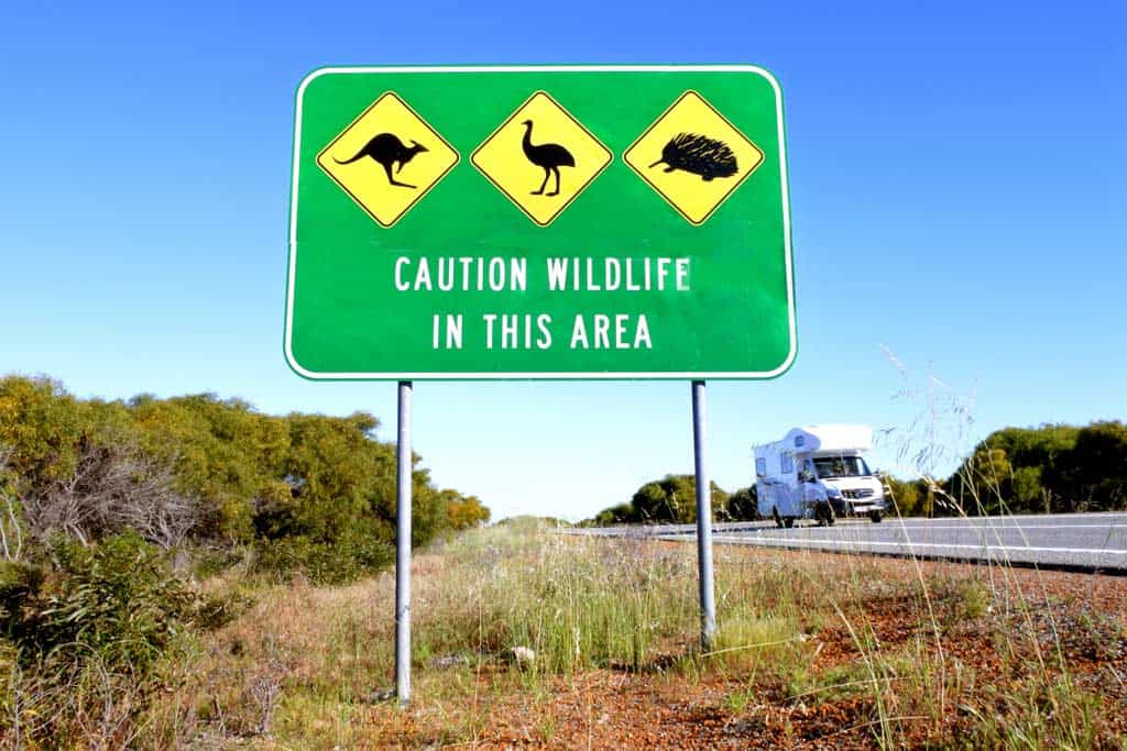 Campervan Driving With Australian Sign