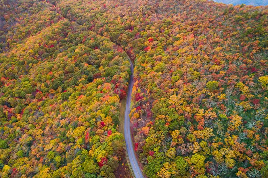 Blue Ridge Parkway Autumn