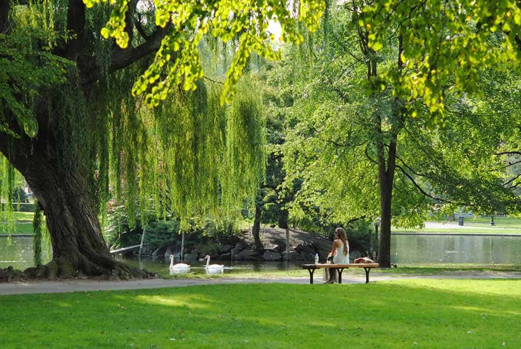 Boston Public Garden