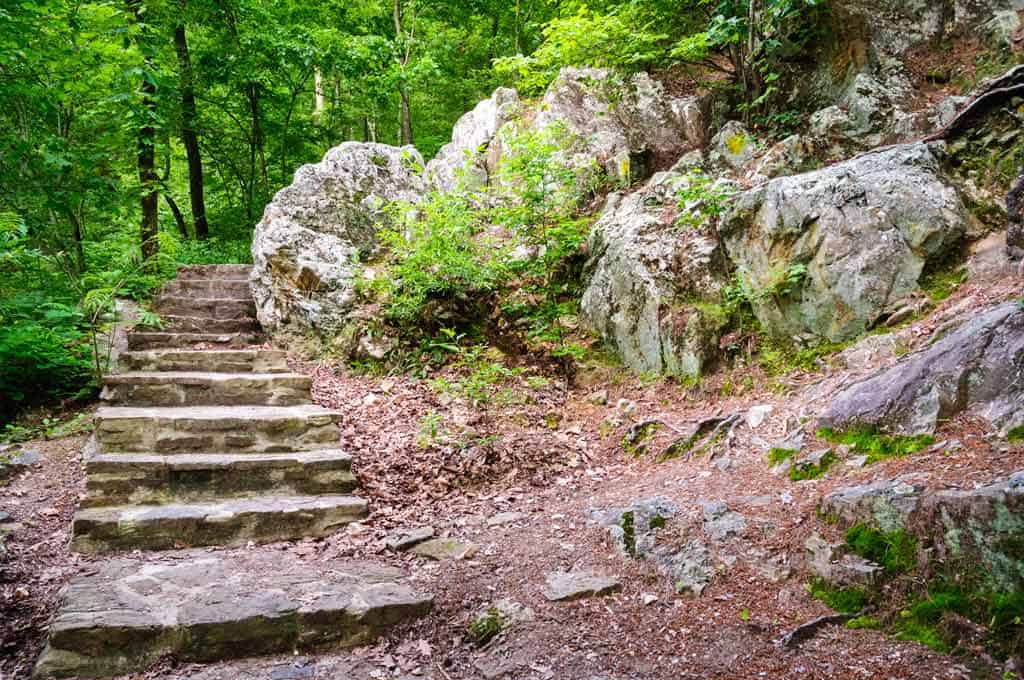 Hiking Trail