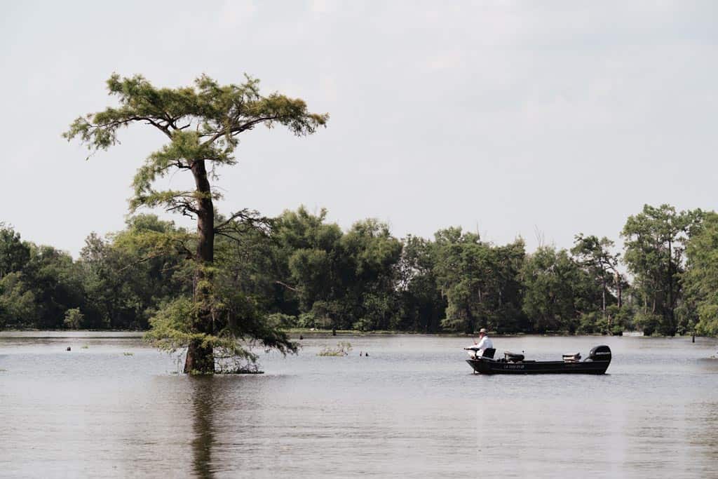 Fisherman Swamps Things To Do In Lafayette