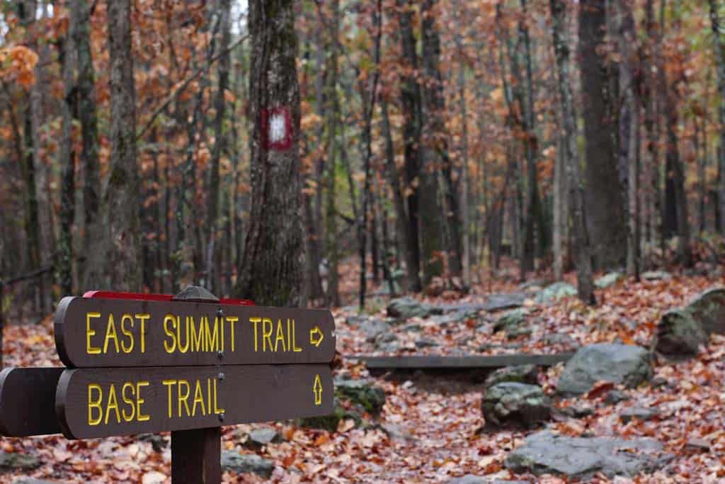 Hiking Trail In Pinnacle Mountain State Park