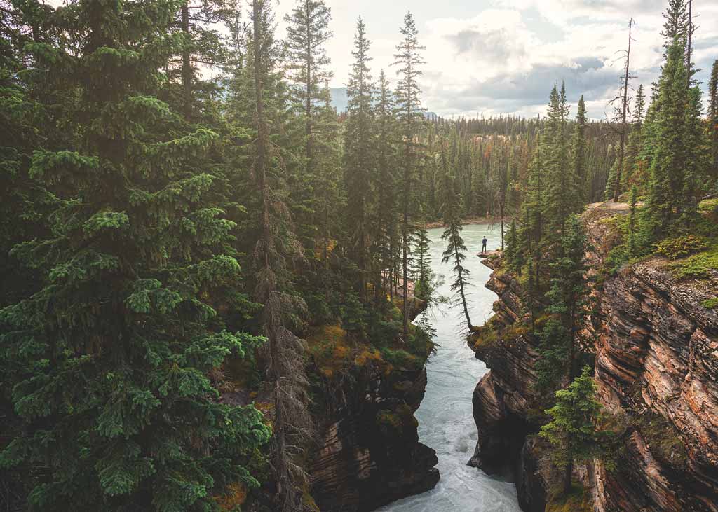 Athabasca Canyon