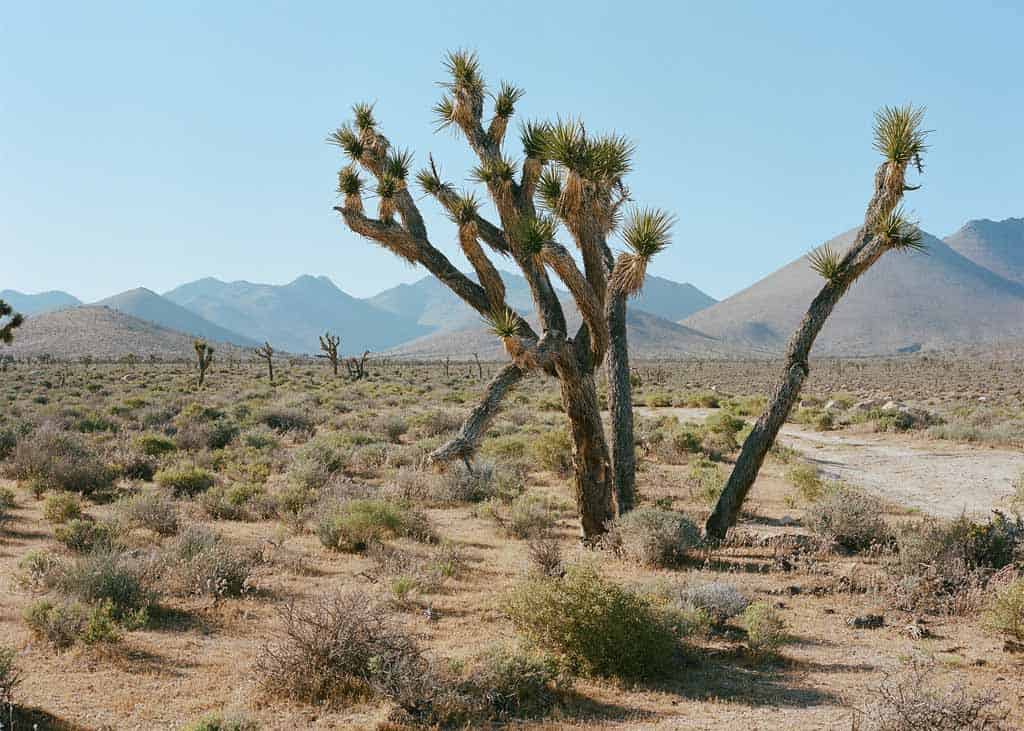 Death Valley National Park