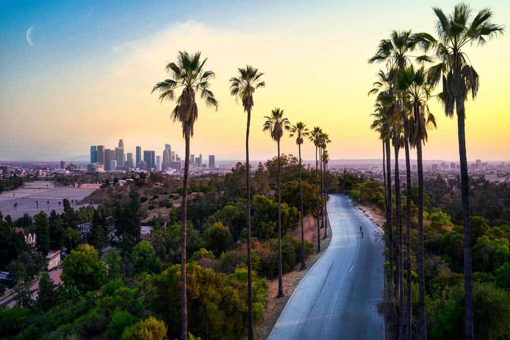 Los Angles Skyline