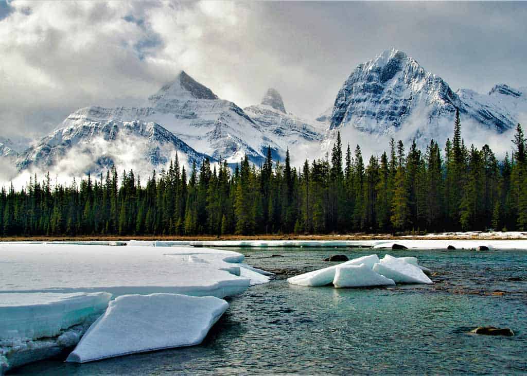 Winter In Icefields Parkway Canada