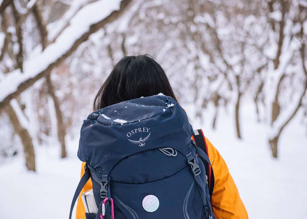 Osprey Backpack