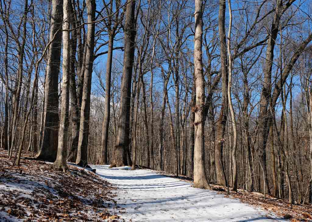 Rock Creek Park