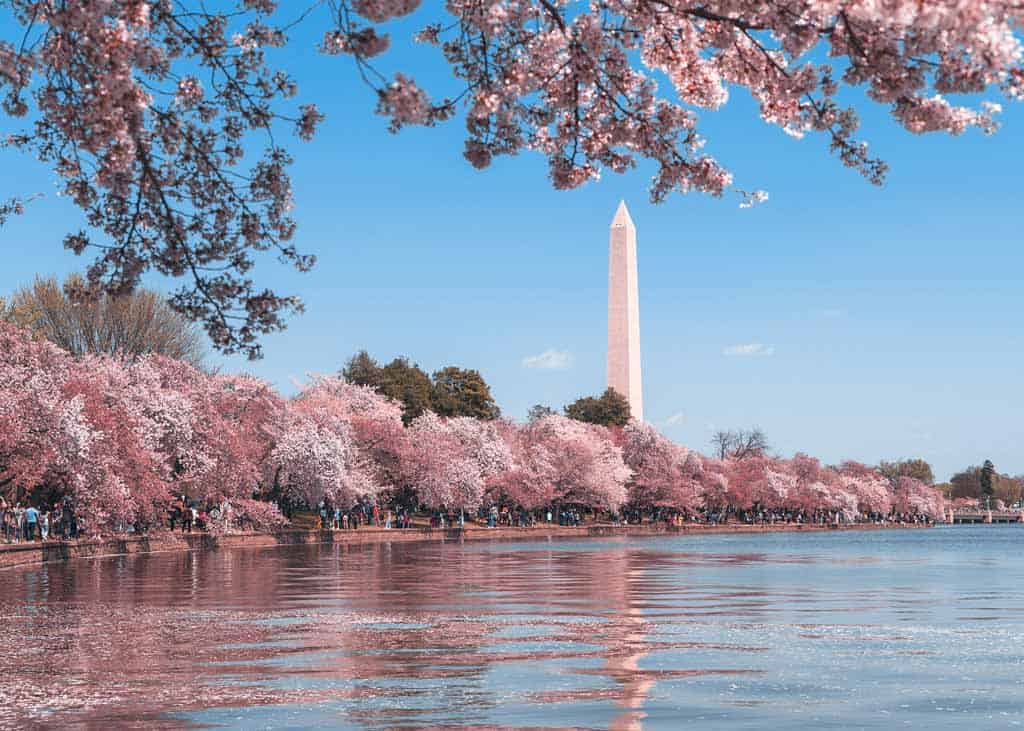 Washington Monument