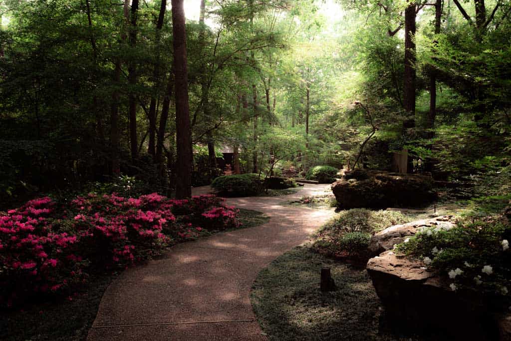 Garvan Gardens Path