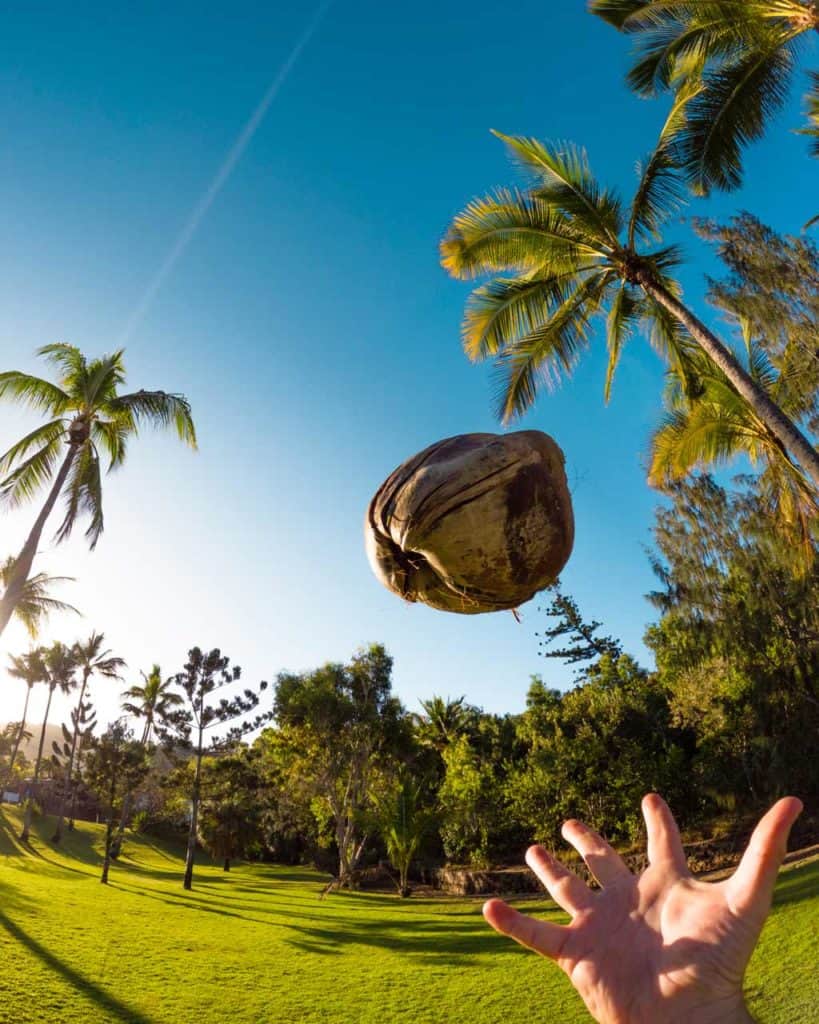 Hero 11 Ig Shot Coconuts