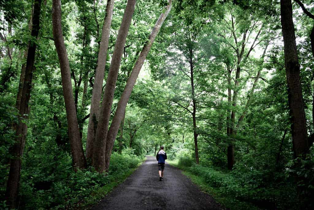 Jarryd Walking In The Woods. 