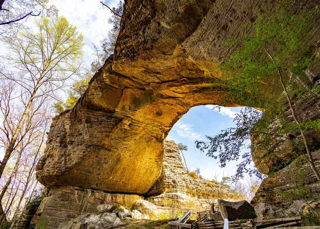 Daniel Boone National Forest