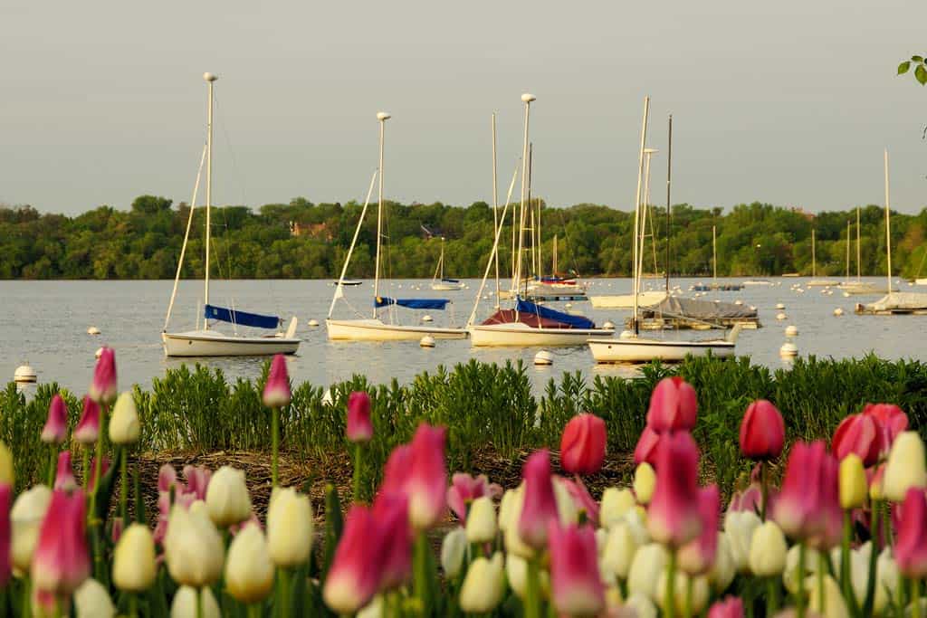 Lake Harriet Minneapolis