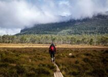 10 Hiking Essentials that You NEED for Your Next Trek