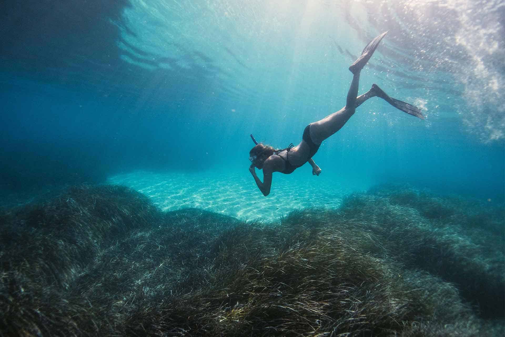 The Best Snorkel Gear of 2023 The Best Snorkel Gear of 2023