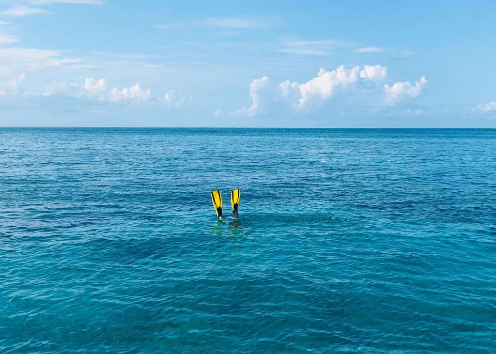 Snorkel Fins