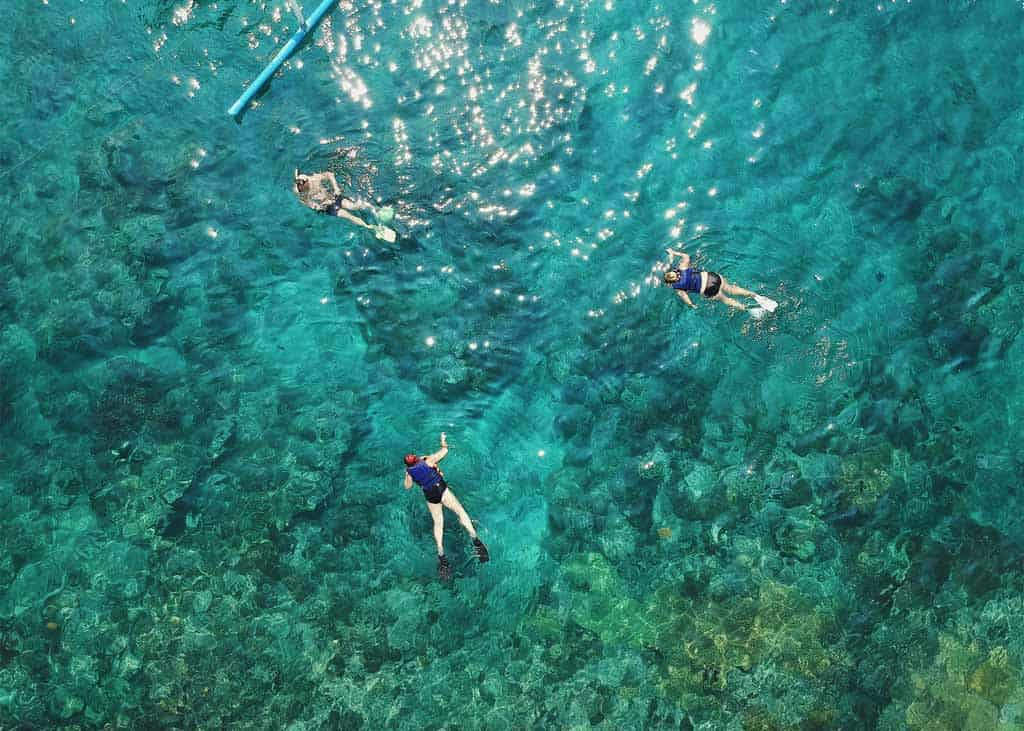 Snorkeling