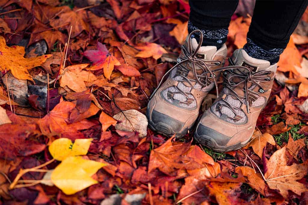 Hiking Boots In Leaves