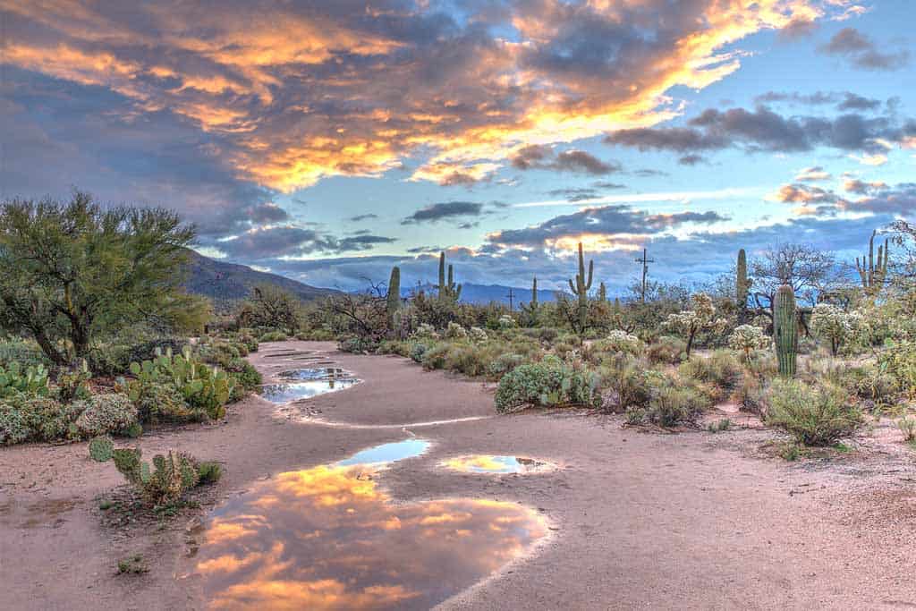 Sabino Canyon