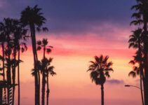 25 Best Things To Do In Southern California (2023 Guide)